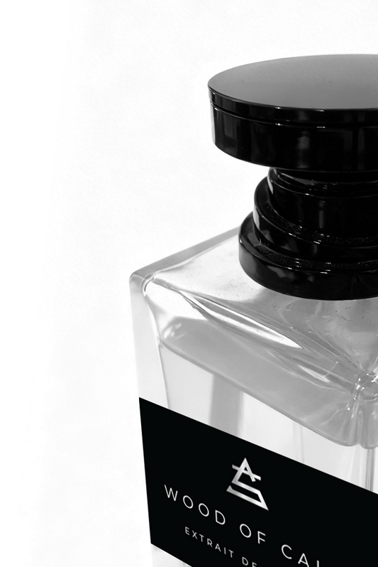 wood-of-calm-top-view