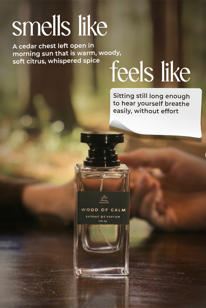 Wood of Calm long-lasting woody perfume for daily wear India — Scentitude